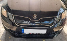 Skoda Octavia III A7 2013-2019 Winter grille (2017-2020) photo 7