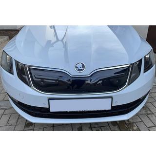 Winter grille (2017-2020) photo 1