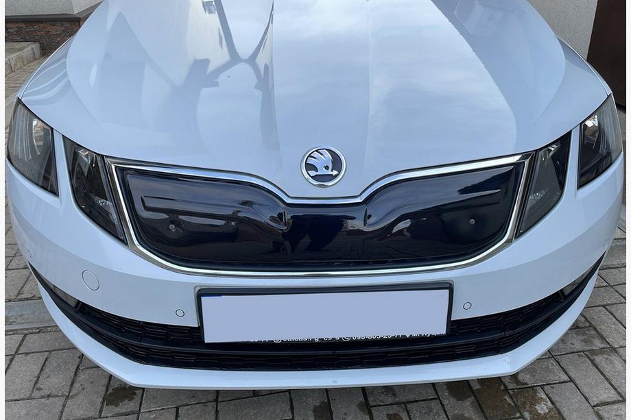 Skoda Octavia III A7 2013-2019 Winter grille (2017-2020) Image