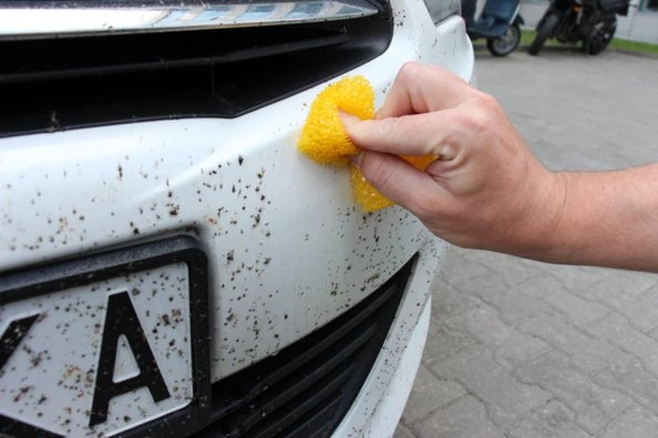How do I remove stuck insects from my car?