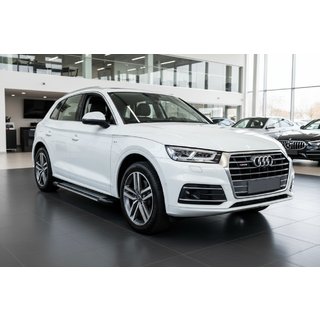 Side Steps Rainbow (2 pcs, Aluminum) Audi Q5 2017-2025 photo 1