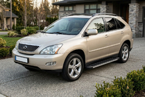 Lexus RX 2003-2009 Side Steps Maya V1 (2 pcs, Aluminum) photo 1