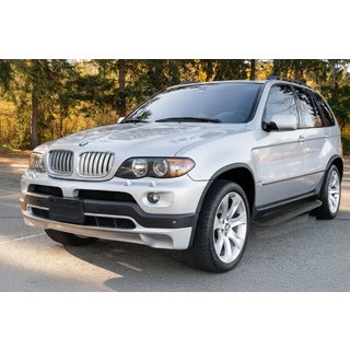 Side Steps Tayga Black (2 pcs, aluminum) BMW X5 E53 1999–2006 photo 1