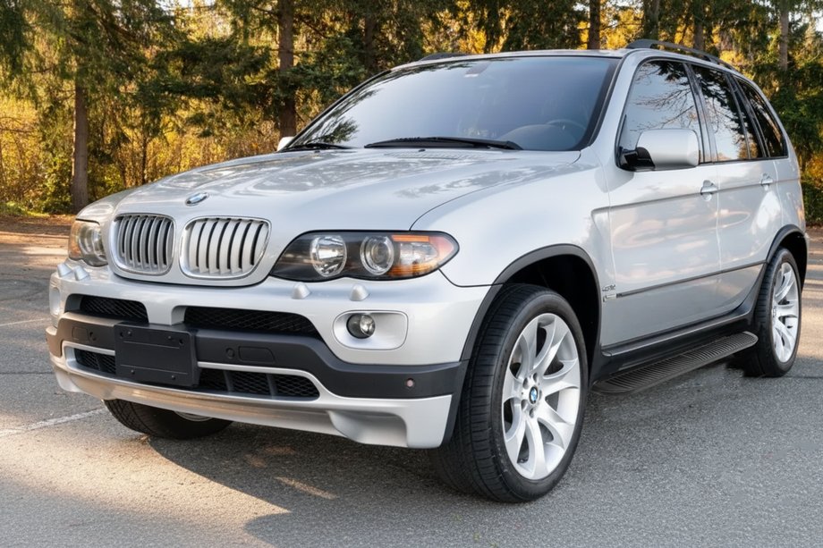 BMW X5 E53 1999–2006 Side Steps Tayga Black (2 pcs, aluminum) Image