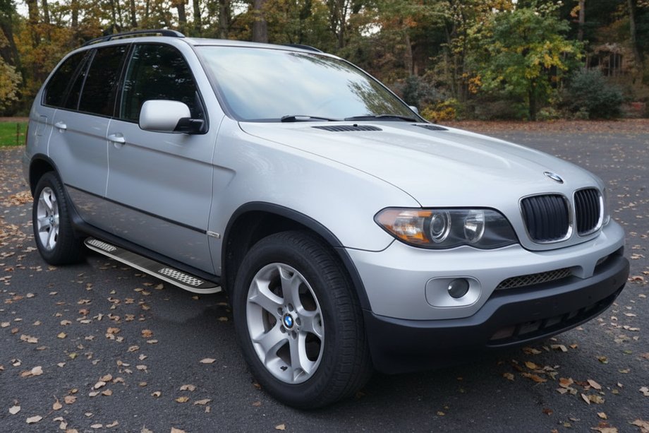 BMW X5 E53 1999–2006 Side Steps Tayga V2 (2 pcs, Aluminum) Image
