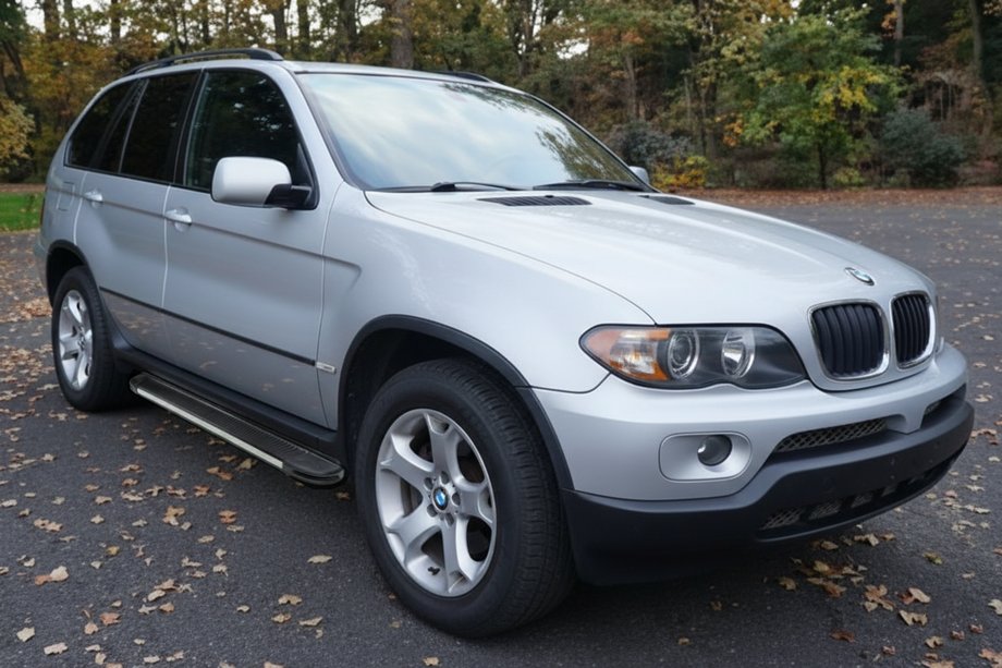 BMW X5 E53 1999–2006 Side Steps Maya V1 (2 pcs, Aluminum) Image