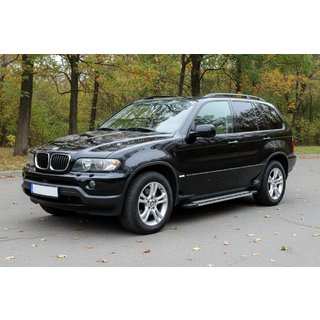 Side Steps Rainbow (2 pcs, Aluminum) BMW X5 E53 1999–2006 photo 1