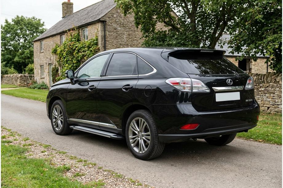 Lexus RX 2009-2015 Side Steps Rainbow (2 pcs, Aluminum) Image