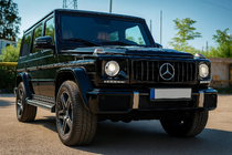 Mercedes G class W463 1990-2018 Front Grille (GT Panamericana, without Chrome) photo 3