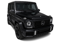 Mercedes G class W463 1990-2018 Front Grille (GT Panamericana, without Chrome) photo 4