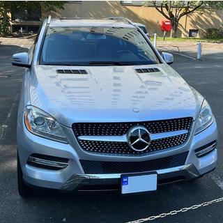 Diamond Tuning Grille (for ML) Mercedes GLE/ML сlass W166 2011-2018 photo 4