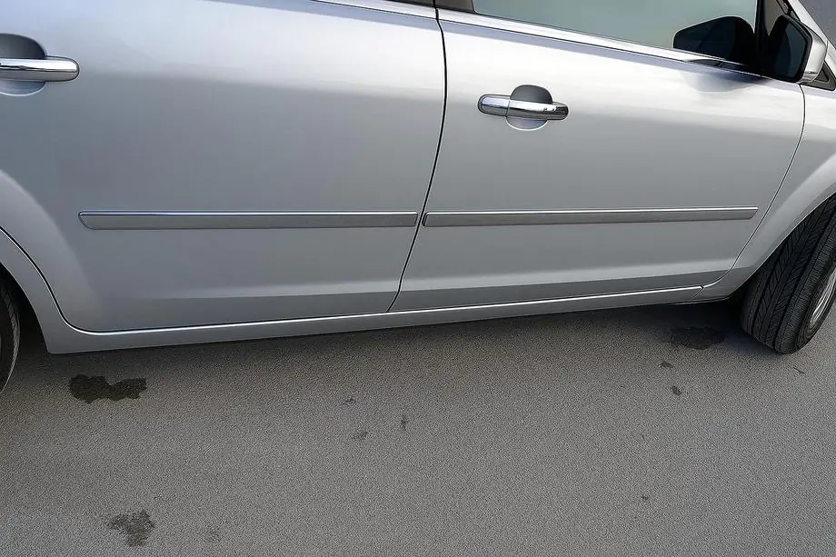 Ford C-Max 2004-2010 Door Mouldings Stainless Steel (4 pcs) Image