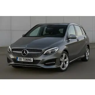 Front Grille Diamond Silver (2015-2018) photo 1