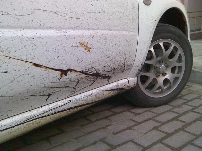How to clean the car from bitumen?
