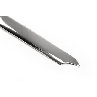 Chrome trim above license plate (stainless steel) photo 4