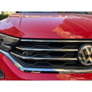 Grille Covers (4 pcs, Stainless Steel) photo 4