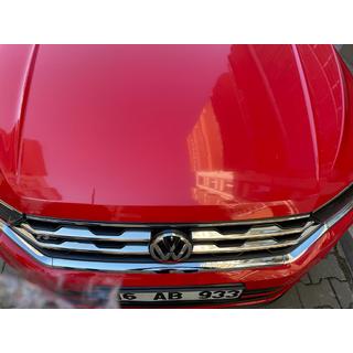 Grille Covers (4 pcs, Stainless Steel) photo 2