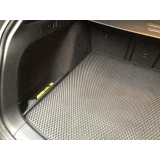 Trunk Mat (SW, EVA, Black) photo 2
