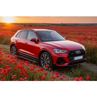 Side Steps Maya Red (2 pcs, Aluminum) Audi Q3 2019–2025 photo 1