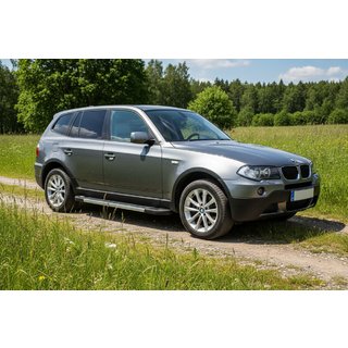 Side Steps RedLine (2 pcs, Aluminum) BMW X3 E83 2003-2010 photo 1