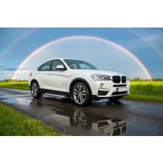 Side Steps Rainbow (2 pcs, Aluminum) photo 1