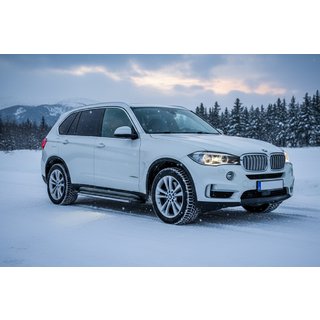 Side Steps Rainbow (2 pcs, Aluminum) BMW X5 F15 2013-2018 photo 1
