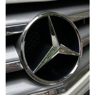 Front emblem (2008-2011) photo 1