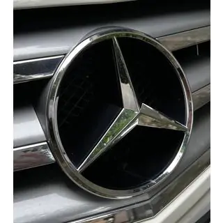 Front emblem (2008-2011)