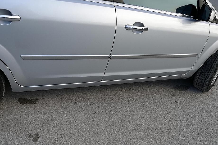 Ford Focus II 2005-2008 Door Mouldings Stainless Steel (4 pcs) OmsaLine - Italian Stainless Steel Image