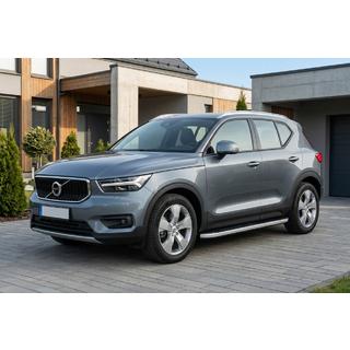 Side Steps Tayga Grey (2 pcs, Aluminum) photo 1