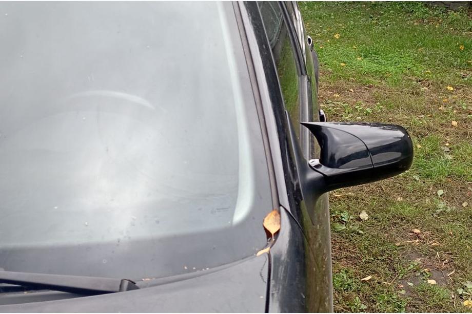 Volkswagen Bora 1998-2004 Mirror Covers RLine-Look (2 pcs) Photo 3