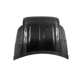 Carbon Hood (real carbon) photo 4