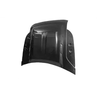 Carbon Hood (real carbon) photo 3