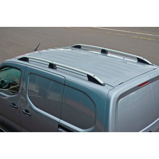 Roof Rails Skyport (silver)
