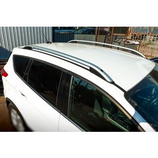 Roof Rails Skyport (silver)