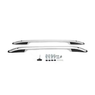 Roof Rails Skyport (silver)