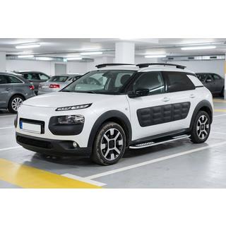 Side Steps Tayga V2 (2 pcs, Aluminum) photo 1