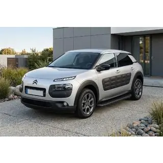 Side Steps Tayga Black (2 pcs, Aluminum) photo 1