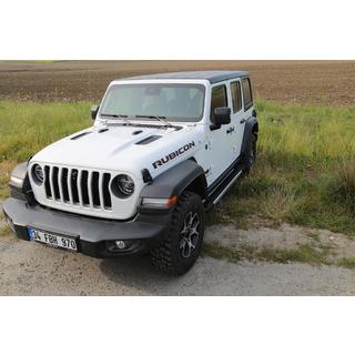 Side Steps RedLine (2 pcs, Aluminum) photo 1