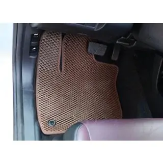 EVA Floor Mats (brick red) Dongfeng M-NV 2020- photo 1
