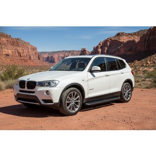 Side Steps Tayga Black (2 pcs, Aluminum) photo 1