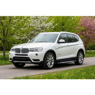 Side Steps Allmond Grey (2 pcs, Aluminum) BMW X3 F25 2011-2018 photo 1