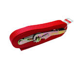 Ratchet tie down strap with metal hooks 4 tons 10 m RT-004 PROSWISSCAR photo 1