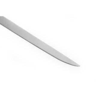 Trunk Trim Stainless Steel photo 4