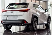 Lexus UX 2018- Window deflectors with chrome trim (4 pcs, HIC) photo 3