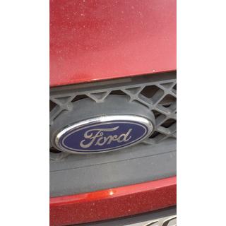 Front emblem (with clips) Ford Fiesta 2002-2008 photo 4