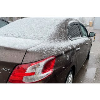 Window Deflectors (4 pcs, HIC) photo 3