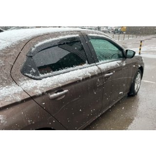Window Deflectors (4 pcs, HIC) photo 1