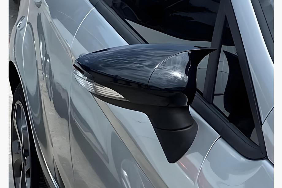 Ford Fiesta 2008-2017 Mirror Covers BMW-Style (2 pcs) Image