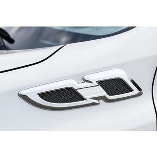 Fender trims Libao 2016-2018 (2 pcs, plastic) photo 1